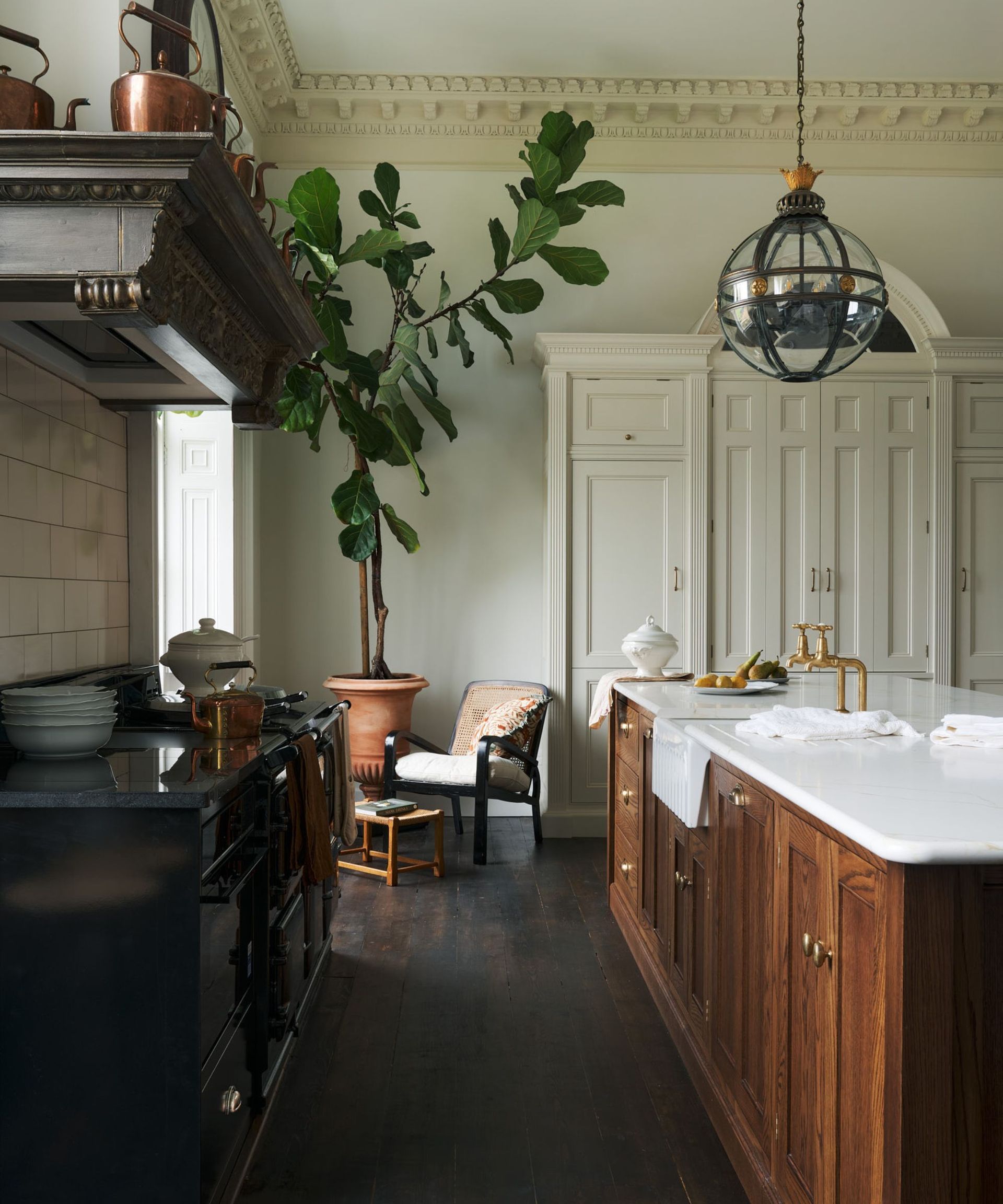 A kitchen with dark wooden floorboards and a large indoor plant
