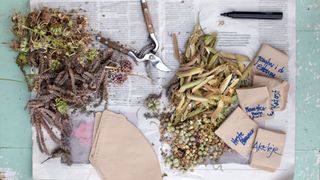 picture of various tools for collection seeds