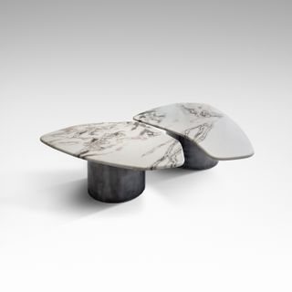 Two coffee tables with marble top