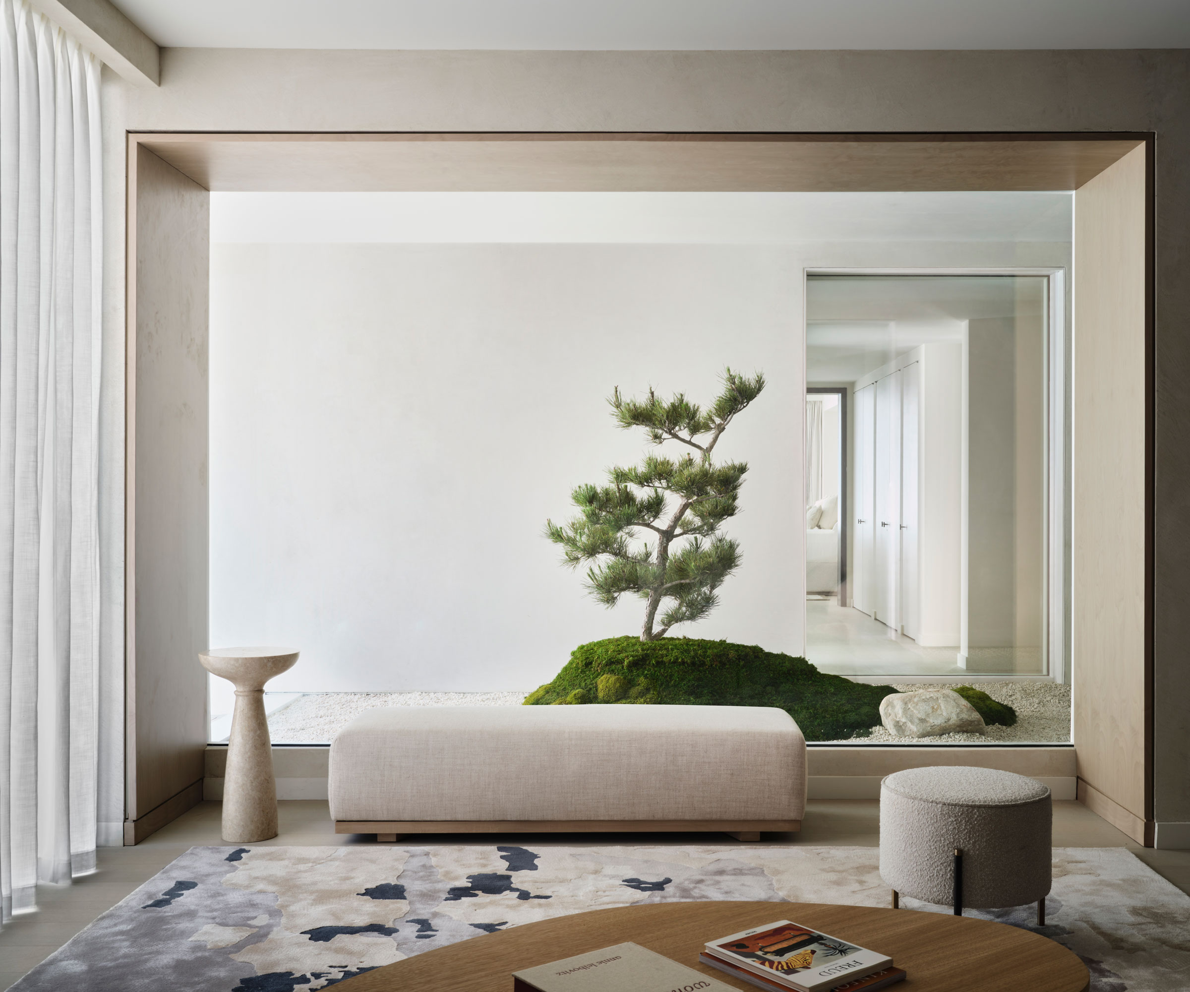 interior design with jade plant and furniture