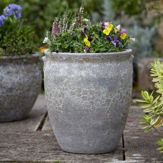 container gardening mistakes