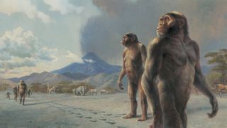 An illustration of multiple australopithecus walking together