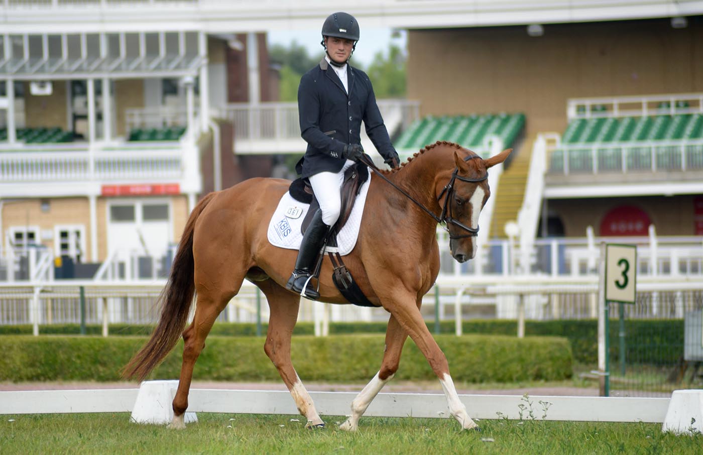 ROR-trotting