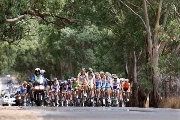 The bunch rides through a tunnel of trees on the scenic Adelaide Hills course.