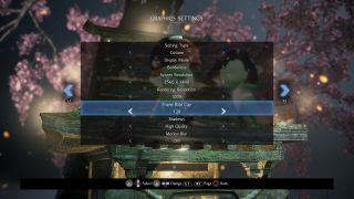 Nioh 2 settings