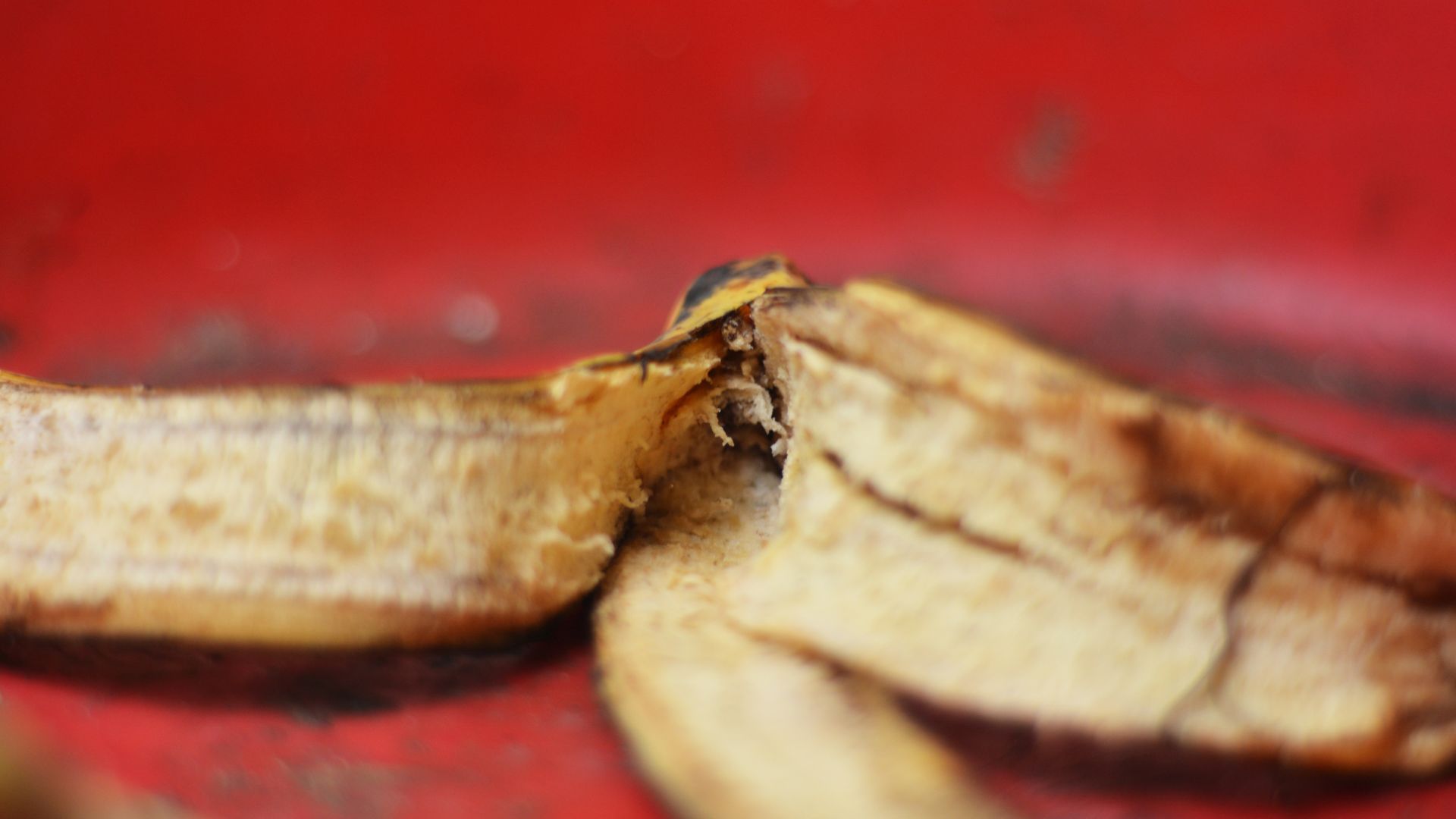picture of discarded banana peel