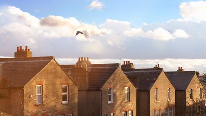 Row of terraced houses and sky