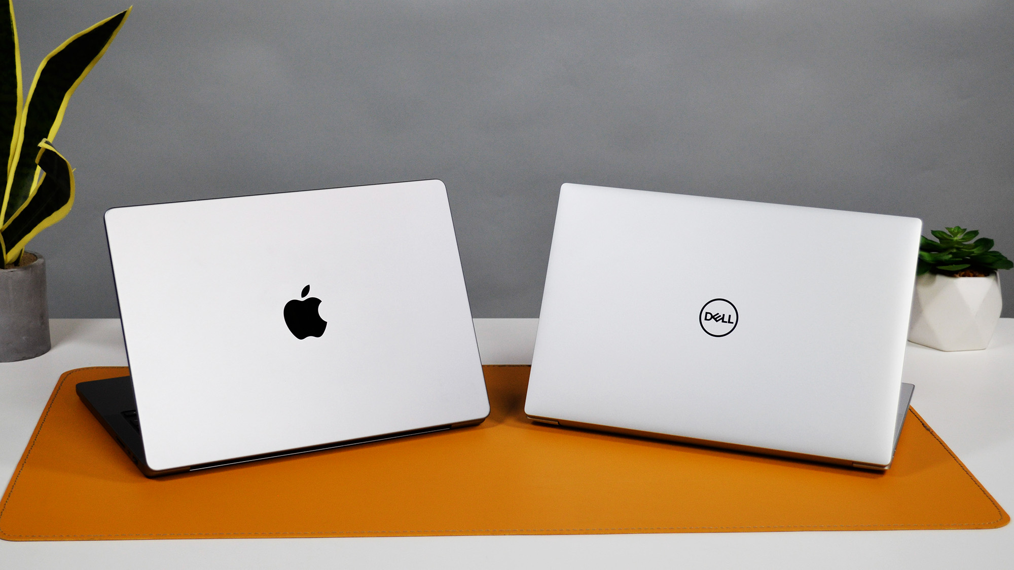 A MacBook Pro 14 vs XPS 14 on a table with plants