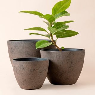 Latitude Run® Nova 3 Set Plastic Planter Pots for Outdoor Plants "& Reviews" | Wayfair