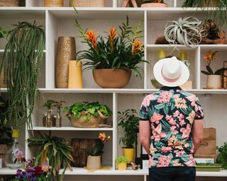 Houseplants in bookcase display at chelsea flower show