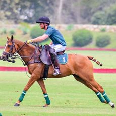 Prince Harry, Duke of Sussex is seen playing polo on June 10, 2022 in Carpinteria, California