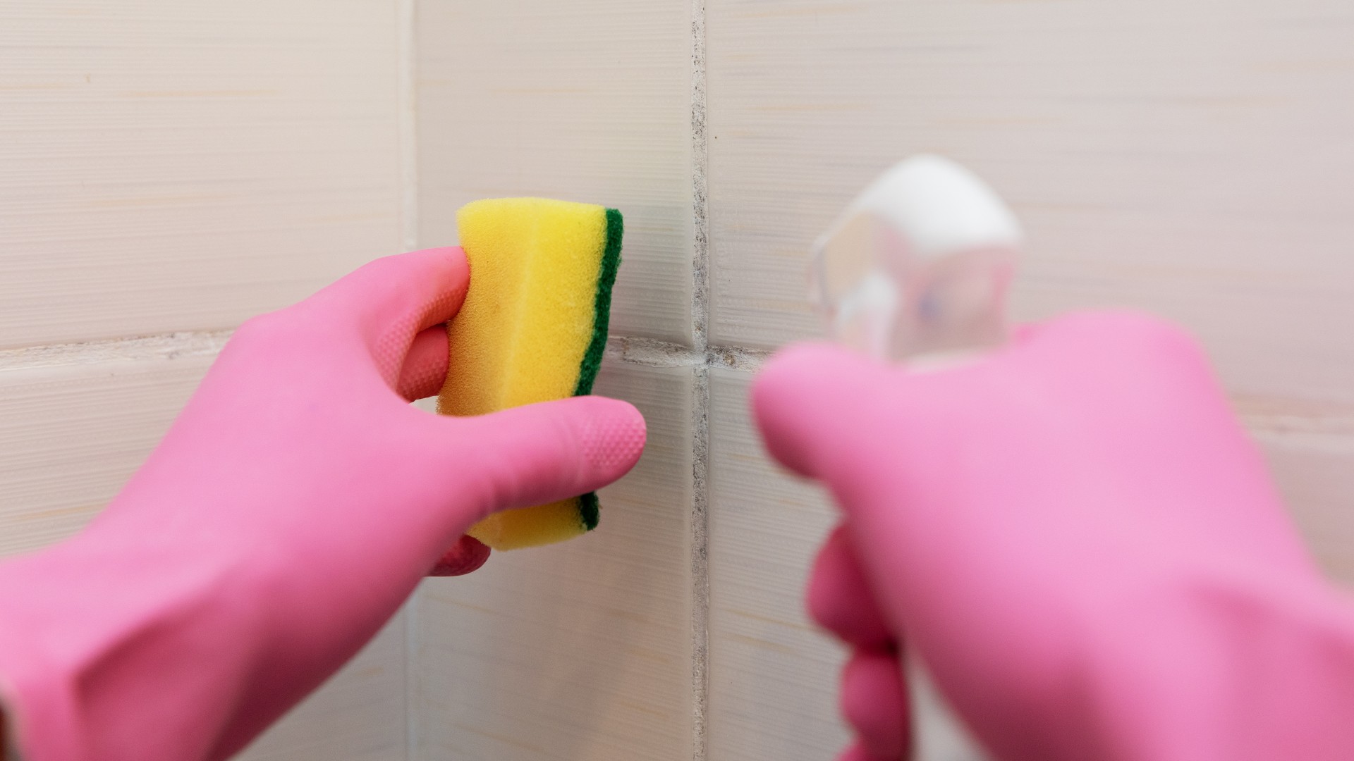 Mold being cleaned off bathroom wall