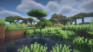 Best Minecraft Shaders BSL