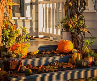 Uncarved pumpkins on porch steps