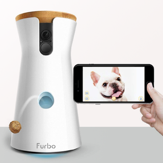 Invest in a pet camera like the Furbo that can even dispense treats