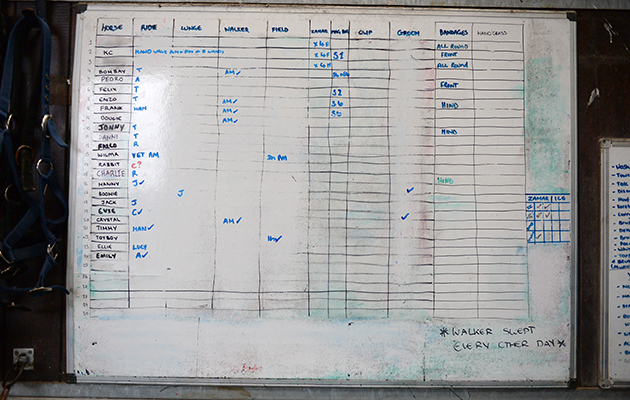 The white board is updated every morning by Trevor and outlines what each horse is doing that day