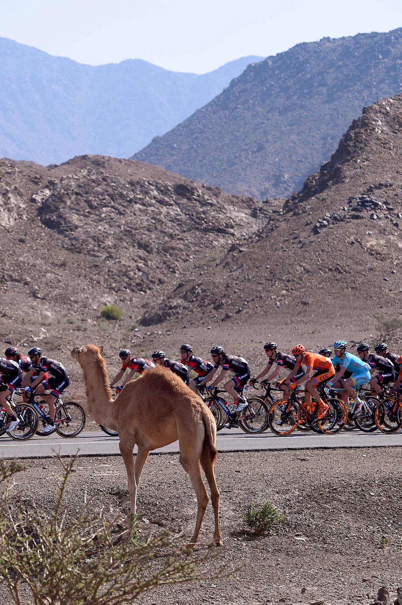 The spectator came out to watch the Dubai Tour
