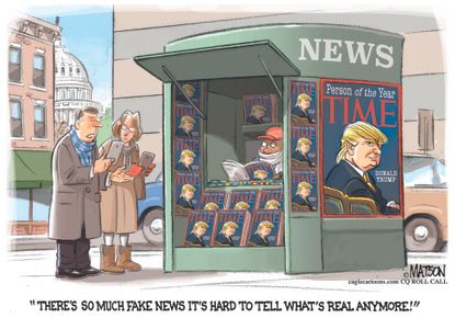 Political cartoon U.S. Donald Trump person of the year fake news