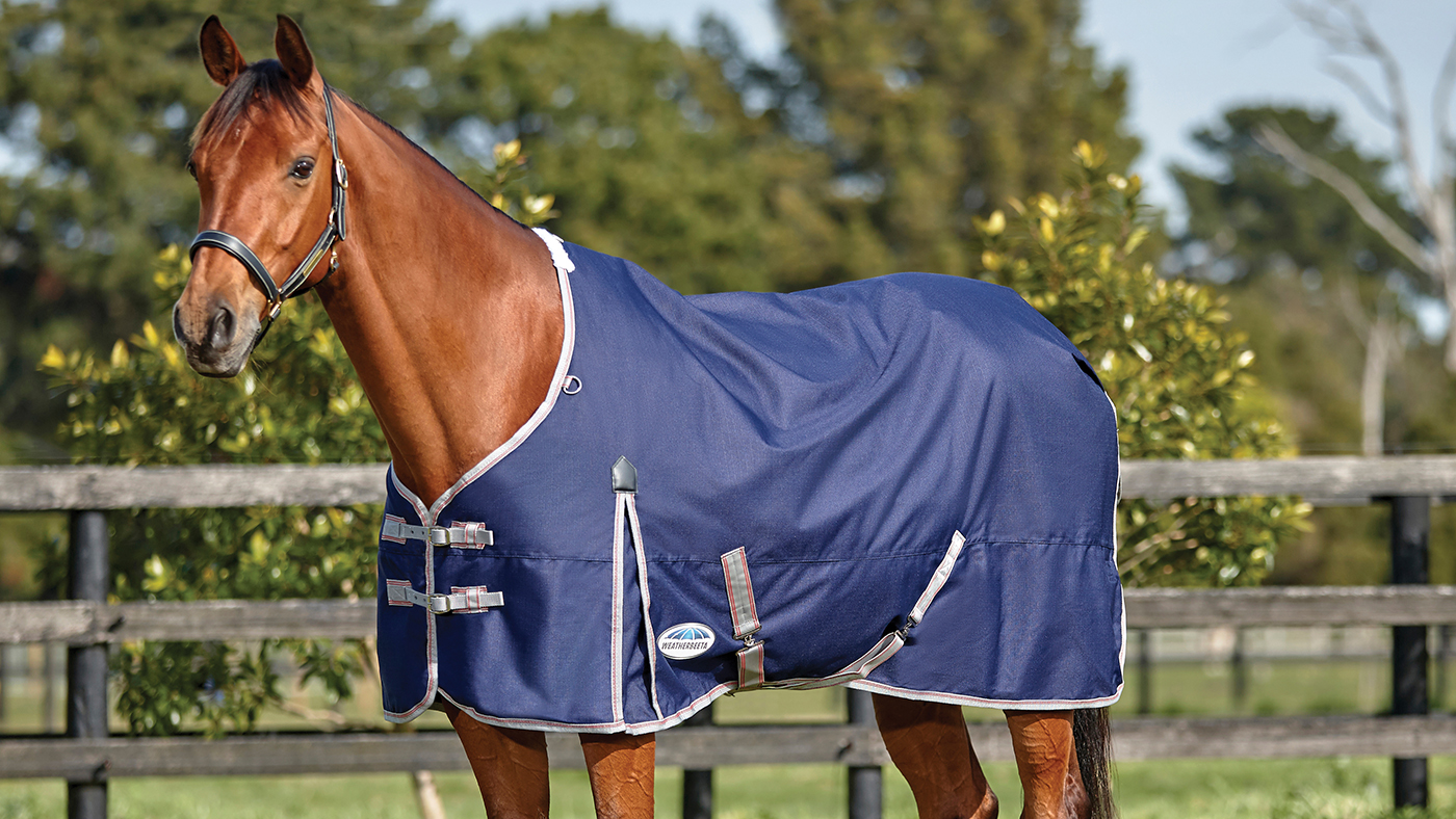 WeatherBeeta ComFiTec Lite turnout rug