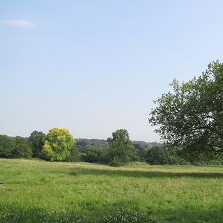 hampstead heath picnic spot