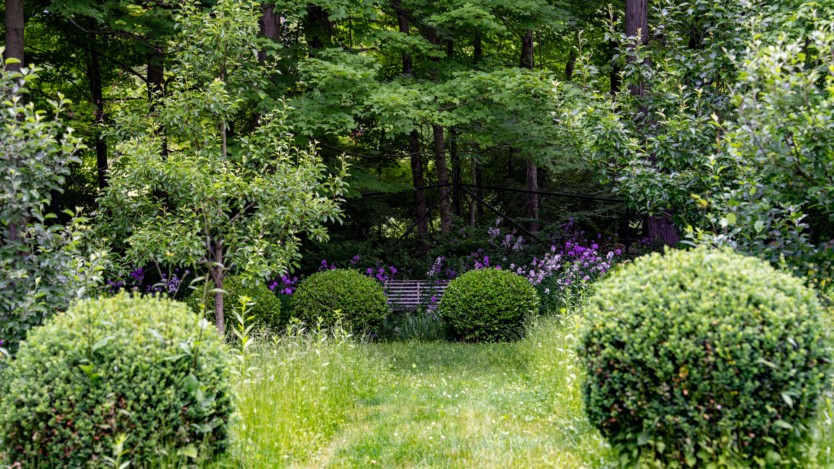 Topiary balls and meadow planting in a New England garden