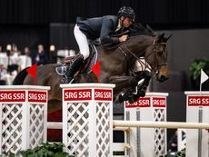International showjumping news: Julien Epaillard (FRA) and Donatello d&rsquo;Auge - winners of the FEI Jumping World Cup&trade; 2024:25 - Basel (SUI)