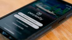 Logo of Perplexity AI, developer of the Perplexity Labs, Deep Research, and AI-powered browser tools, pictured on a smartphone screen.