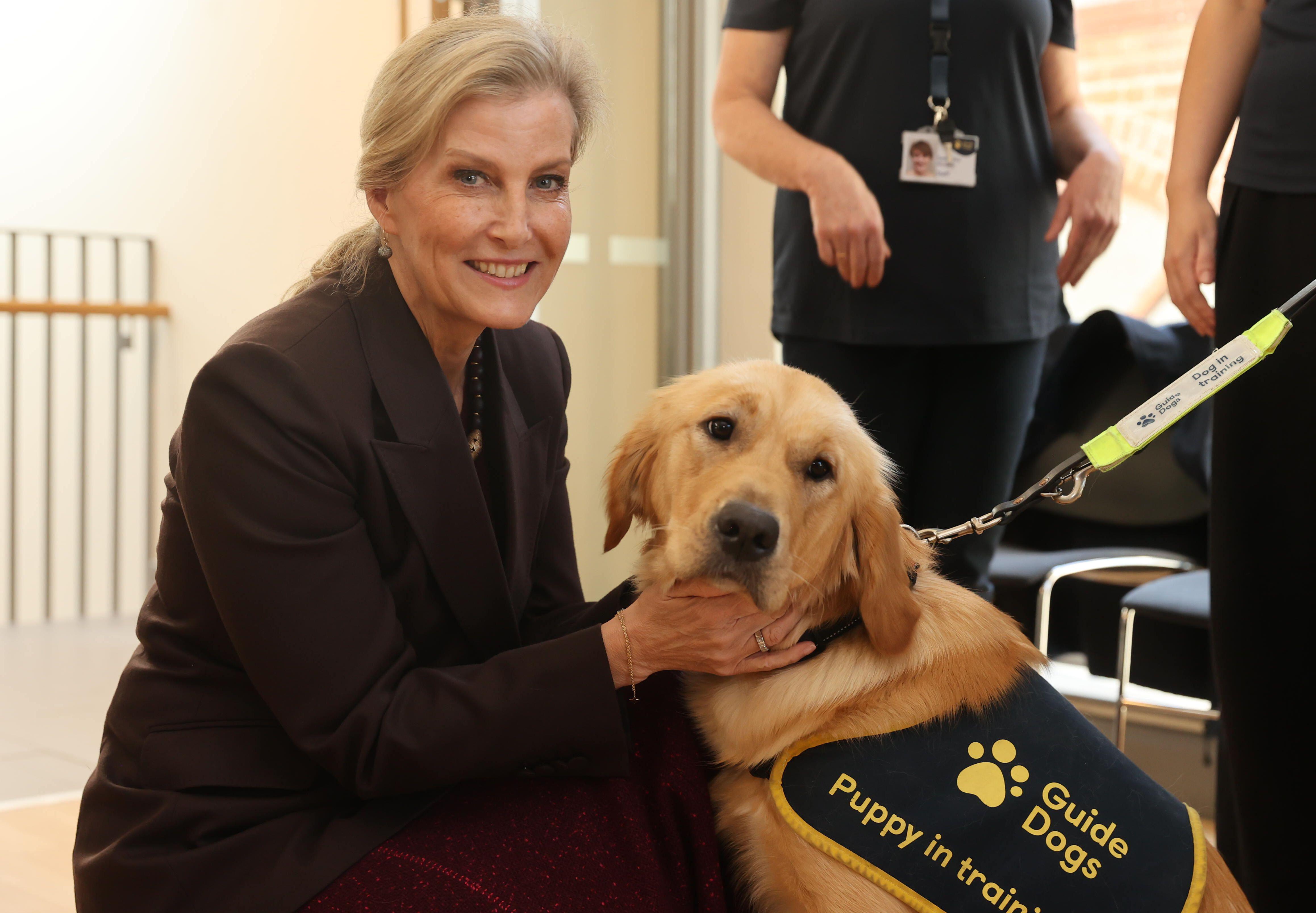 Duchess Sophie petting a golden retriever
