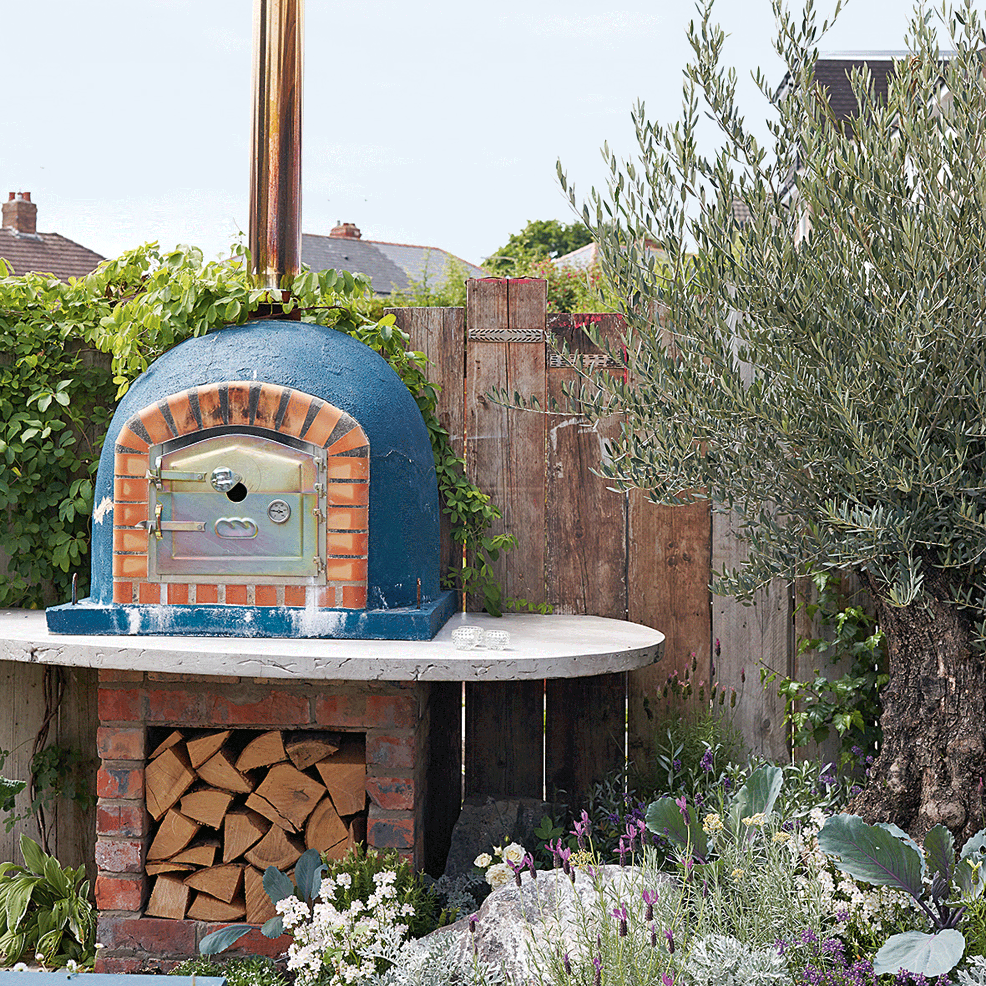 Rustic pizza oven with olive tree