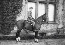 War_Horse.jpg
