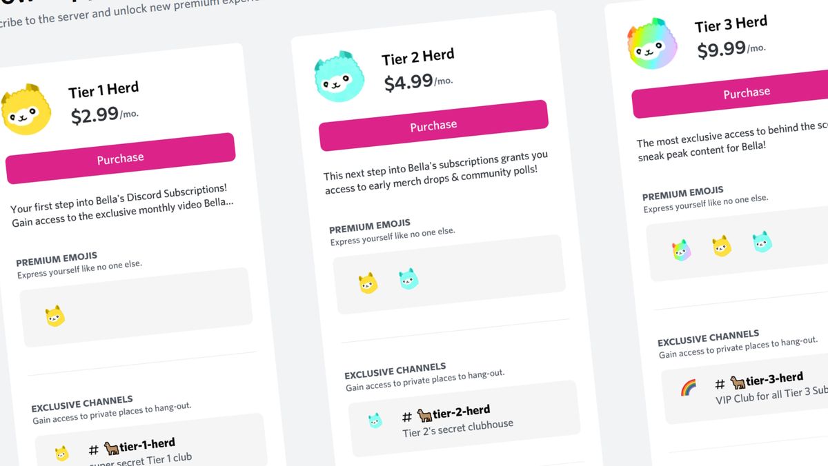 Discord gets paid channel memberships - Protocol