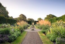 The Urn garden, designed by Christopher Lloyd. New dense planting, with beds of Celtica gigantea underplanted with mixed Hardy geraniums or cranesbills and Papaver somniferum hybrids, gives a long season of colour. Credit: Mimi Connolly