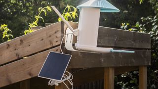 Netuve Birdfy camera with solar panel