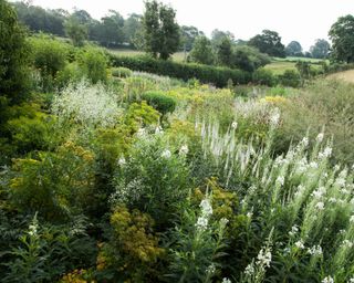 naturalistic style planting in a country garden