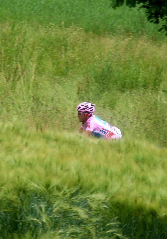 Alberto Contador in pink