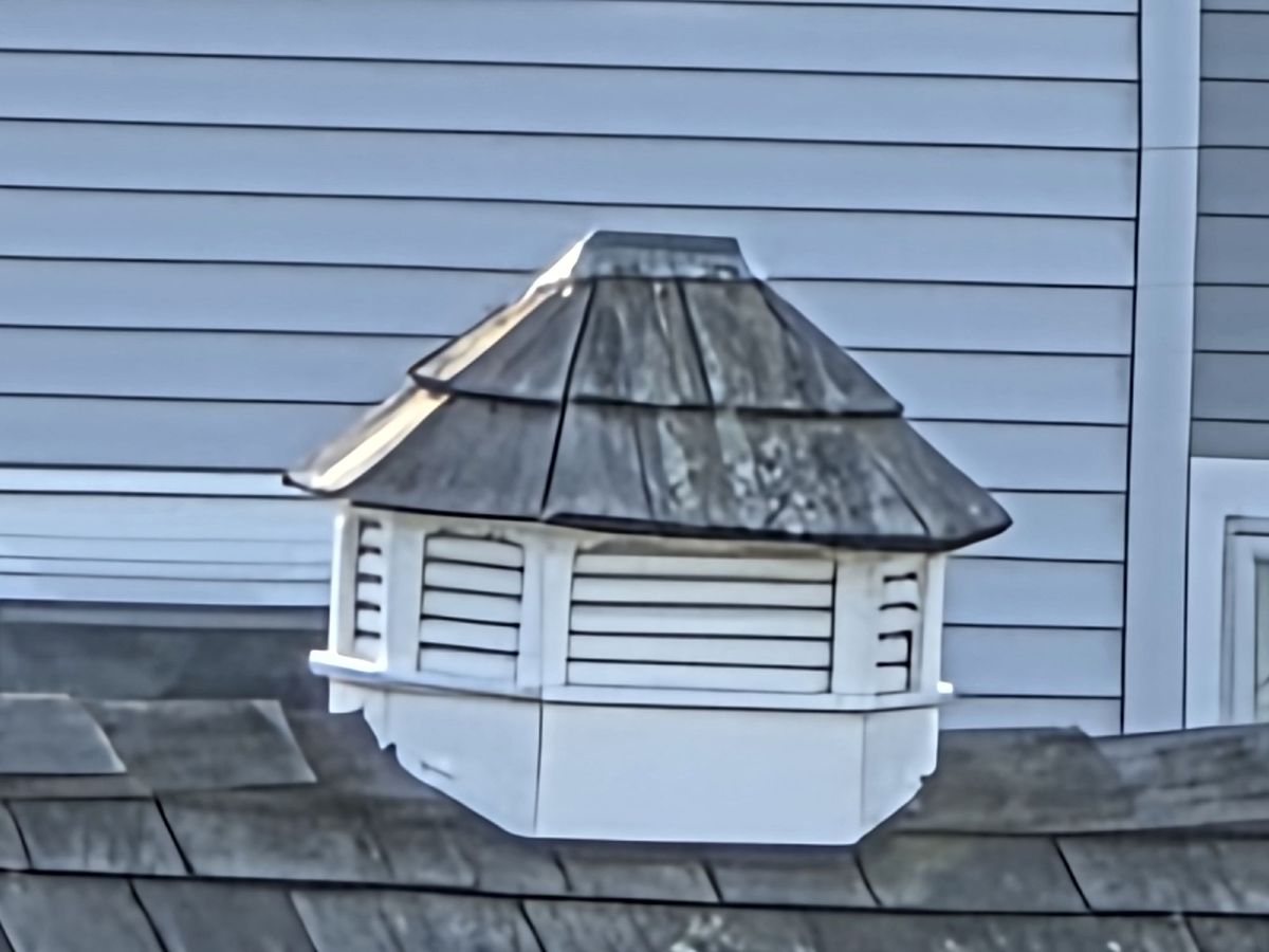 Samsung Galaxy S25 Ultra zoom sample.