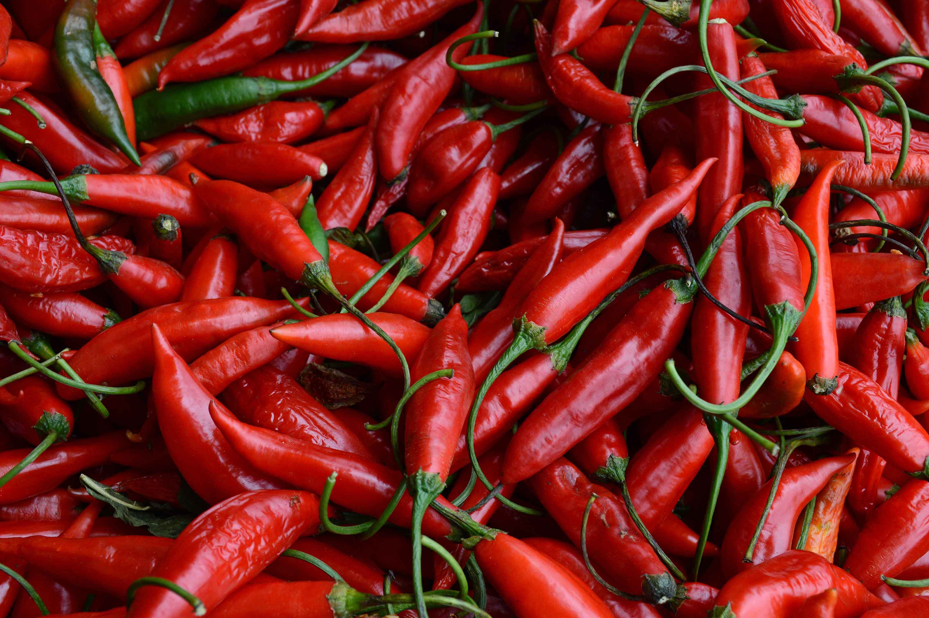 red chillies