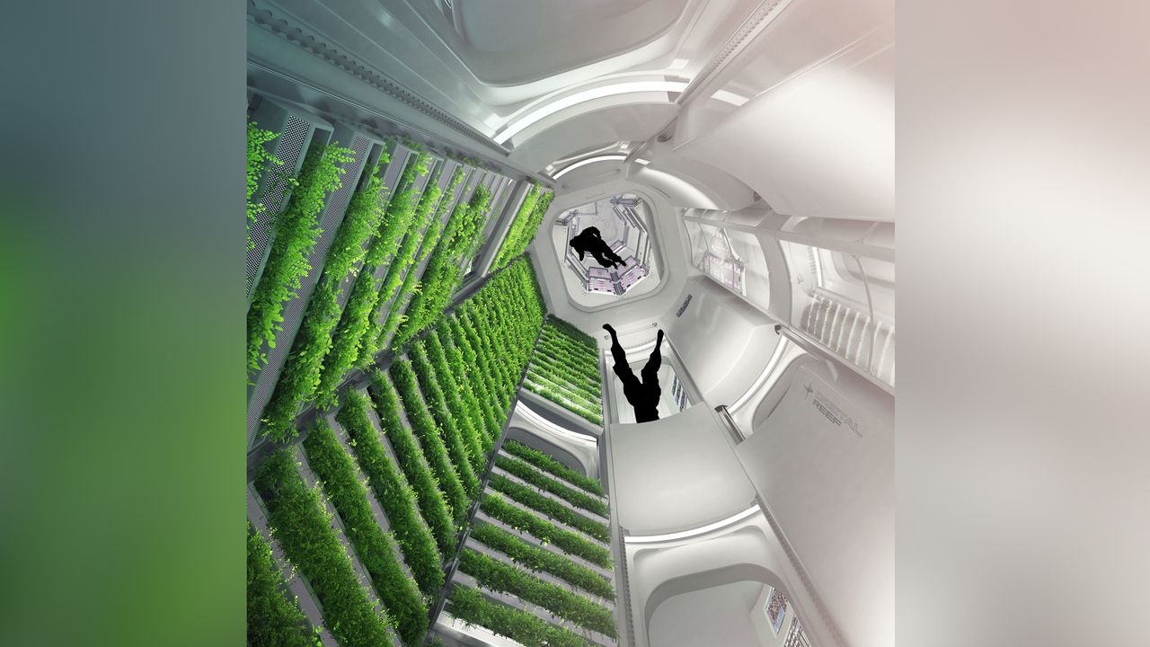 Blue Origin has teamed up with Sierra Space, Boeing and others to build Orbital Reef, a private space station, to begin flying by the end of the 2020s.
