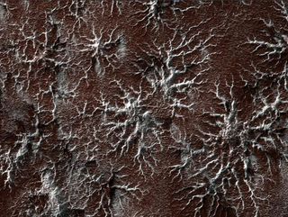 NASA's Mars Reconnaissance Orbiter has spied these strange spider-like shapes, formed by frozen carbon dioxide, on the Martian surface in the planet's south polar region.
