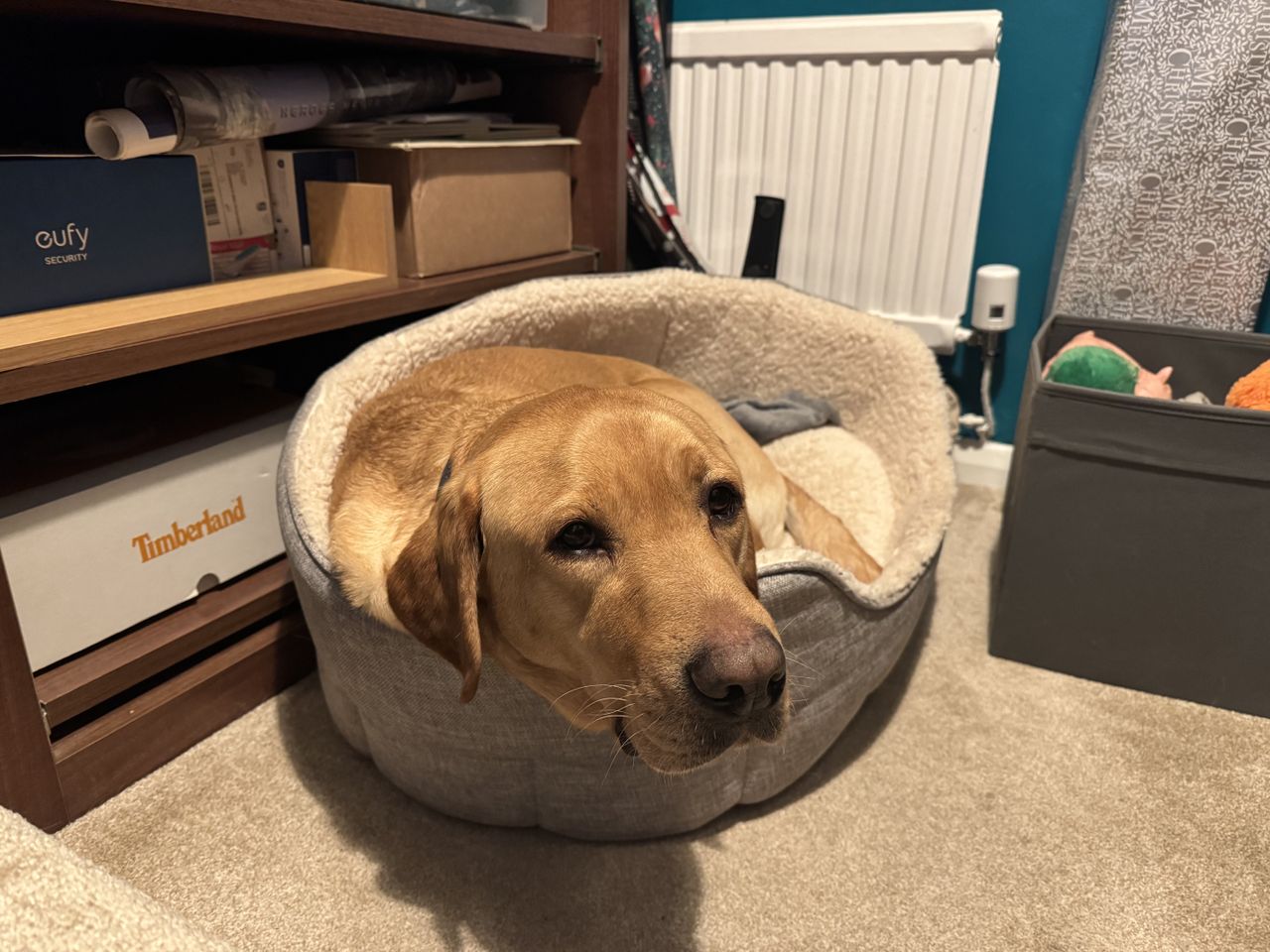 iphone 15 pro max example camera shots