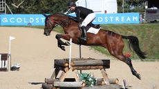 NEXGEN-Jack-Mantel-7yo-xc.jpg