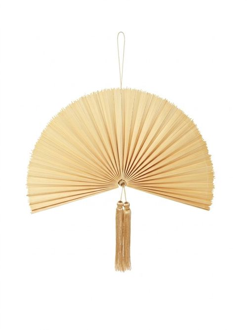 Decorative wall fan