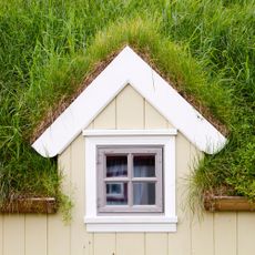 green roof above a window with a purple and with frame