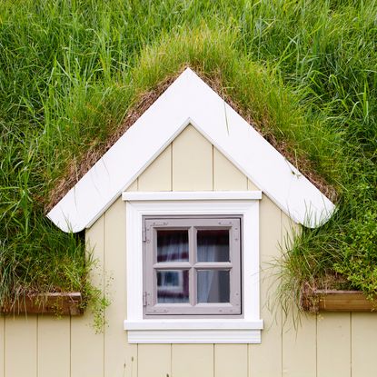 green roof above a window with a purple and with frame