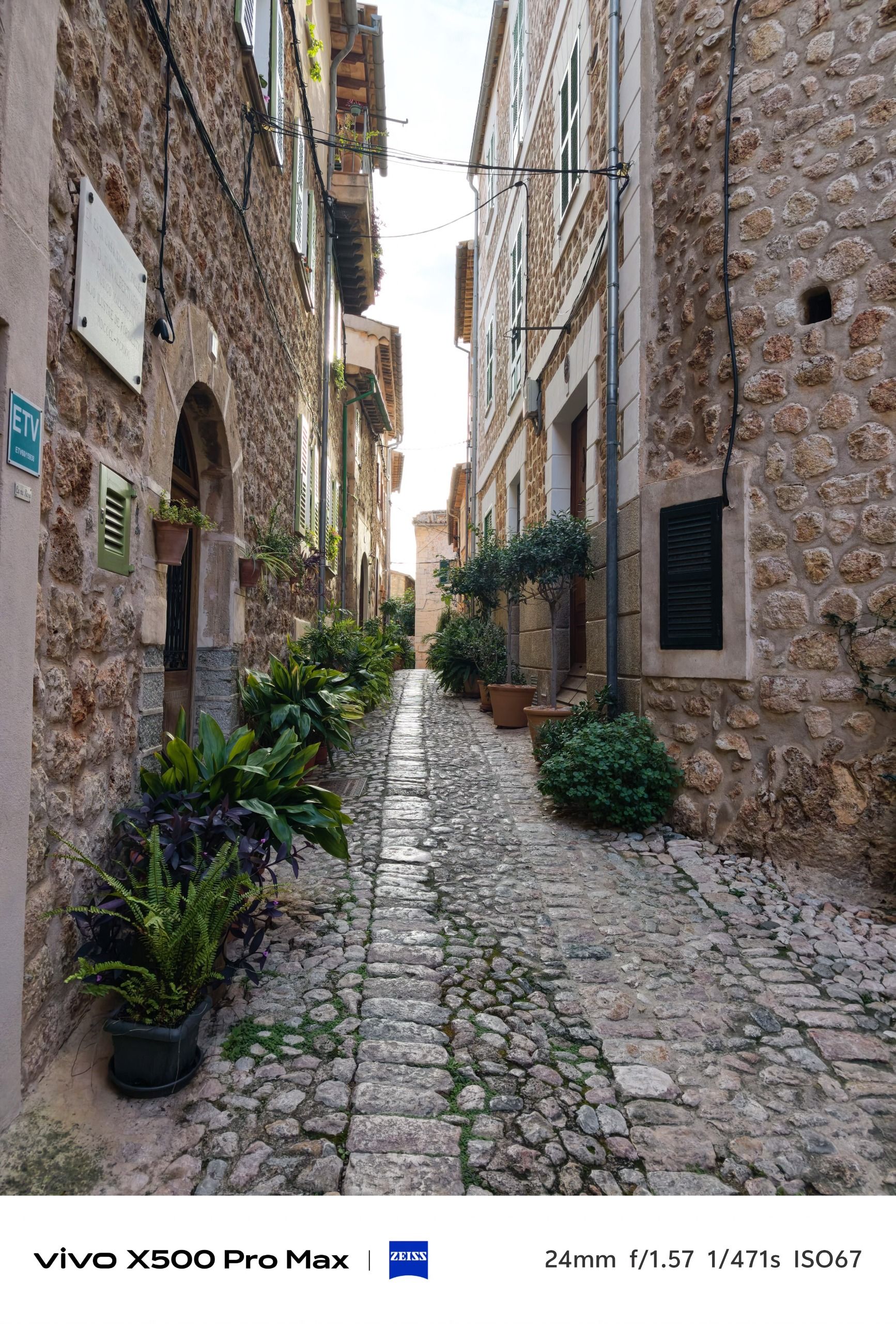 Wide view down a narrow cobbled alley between old stone buildings, lined with potted green plants.