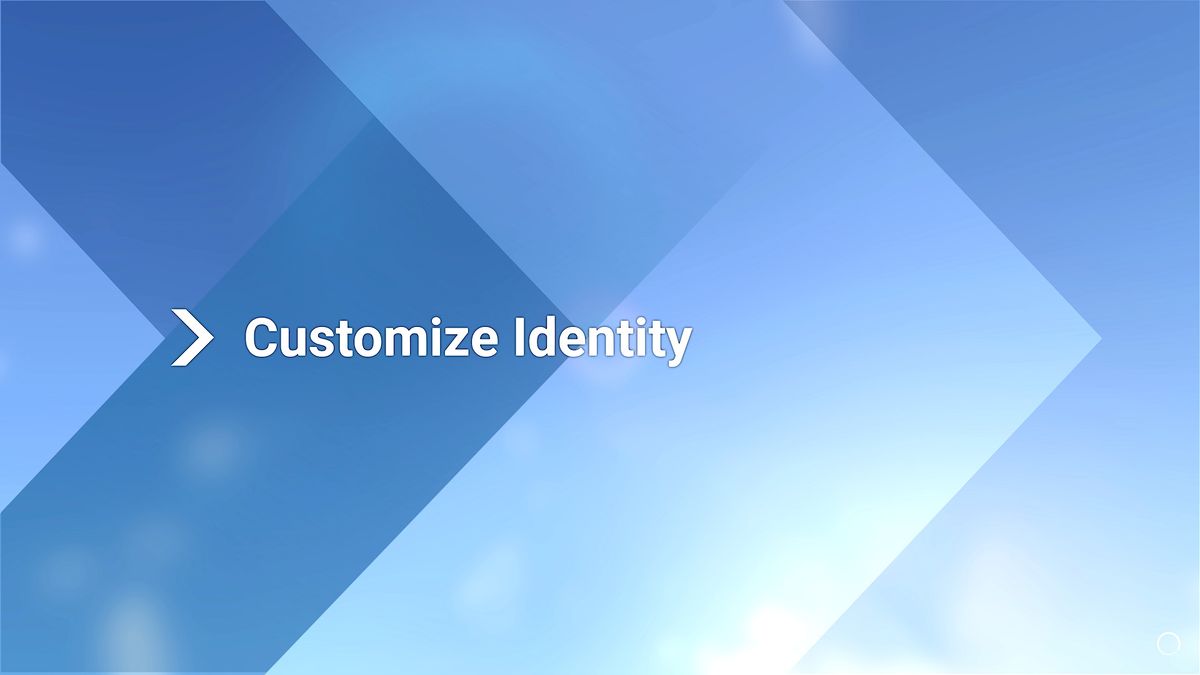 Microsoft Flight Simulator 2024 stuck on customize identity