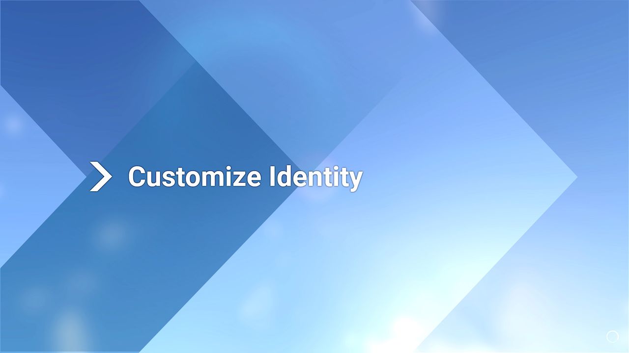 Microsoft Flight Simulator 2024 stuck on customize identity