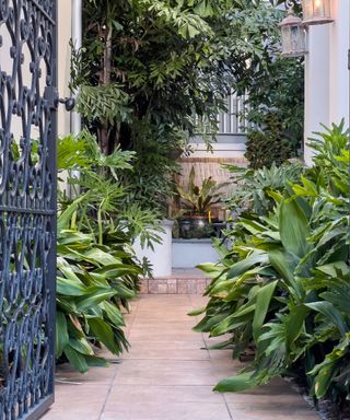 courtyard garden with plants and gates