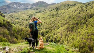 Girl and dogs taking a break during a hike near Holzarté in the French Basque country