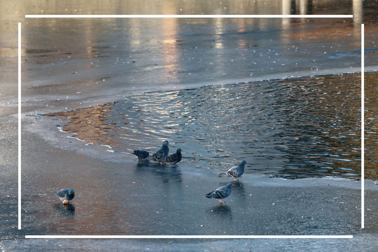 Warningt o parents over icey water 